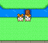 screenshots/Game Boy Color/Hamtaro - Ham-Hams Unite!/Hamtaro - Ham-Hams Unite! (Eng) 028.png